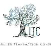 IMMOBILIER TRANSACTION CONSEIL logo