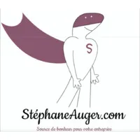 Voici le logo de la marque STEPHANE AUGER COM qui représente son identité graphique.