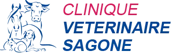 WERNER SABINE logo