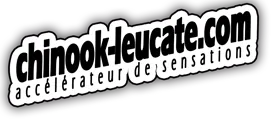 ILE DU VENT (CHIN OOK SURFSHOOP) logo