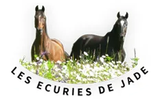CATALA CHARLINE (LES ECURIES DE JADE) logo
