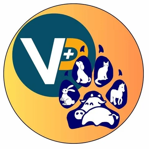 SELARL VPLUS CHAILLE-MARANS logo