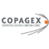 PASCAL GOUHIER CONSEIL (COPAGEX) logo