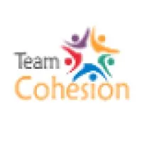 TEAM COHESION - TRIUM CONSULTING logo