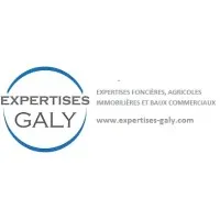 EXPERTISES GALY logo