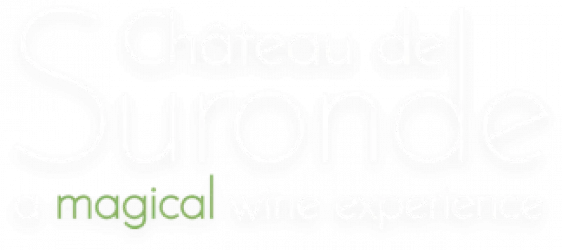 SCEA CHATEAU DE SURONDE logo