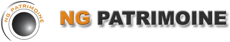NG PATRIMOINE (NG PATRIMOINE) logo