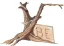 RACINE BE (RACINE BE) logo