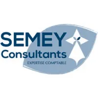 SEMEY CONSULTANTS logo