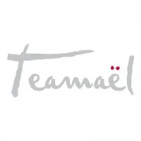 TEAMAEL (TEAMAEL) logo