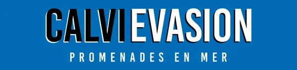 VILMON logo