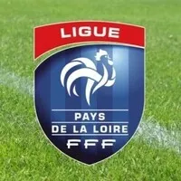 SEM REGIONALE DES PAYS DE LA LOIRE (SOLUTIONS&CO) logo