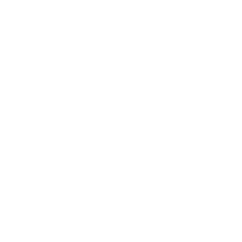 CHOQUEREAU DAVID logo
