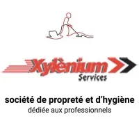 XYLENIUM SERVICES logo