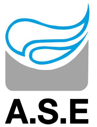 ACTIVITE SERVICES ENTRETIEN (ASE;EURONET;APS NETT) logo
