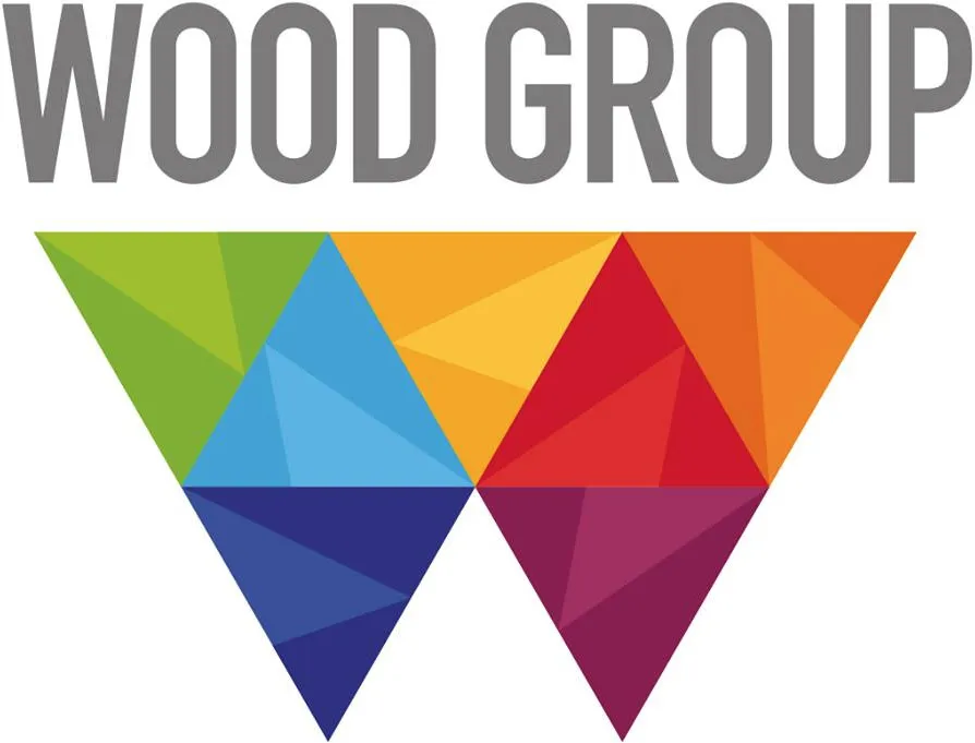 WOOD GROUP ENGINEERING SERVICES FRANCE (WGES FRANCE) logo