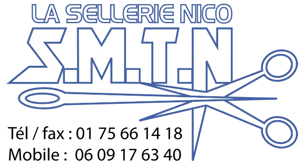 SMTN logo