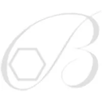 BRAMI SUPERALLIAGES (BRAMI METAUX ET ALLIAGES SPECIAUX) logo