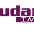 BAUDART.IMMO logo