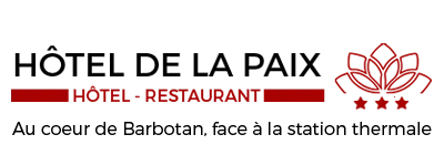 HOTEL RESTAURANT DE LA PAIX (HOTEL DE LA PAIX) logo