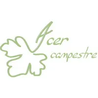 ACER CAMPESTRE (ACER CAMPESTRE) logo