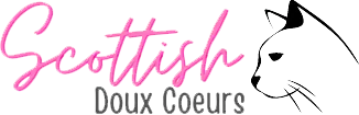 LENOIR CATHERINE logo