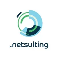 NETSULTING (WSI) logo