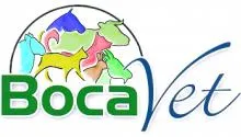 BOCAVET logo