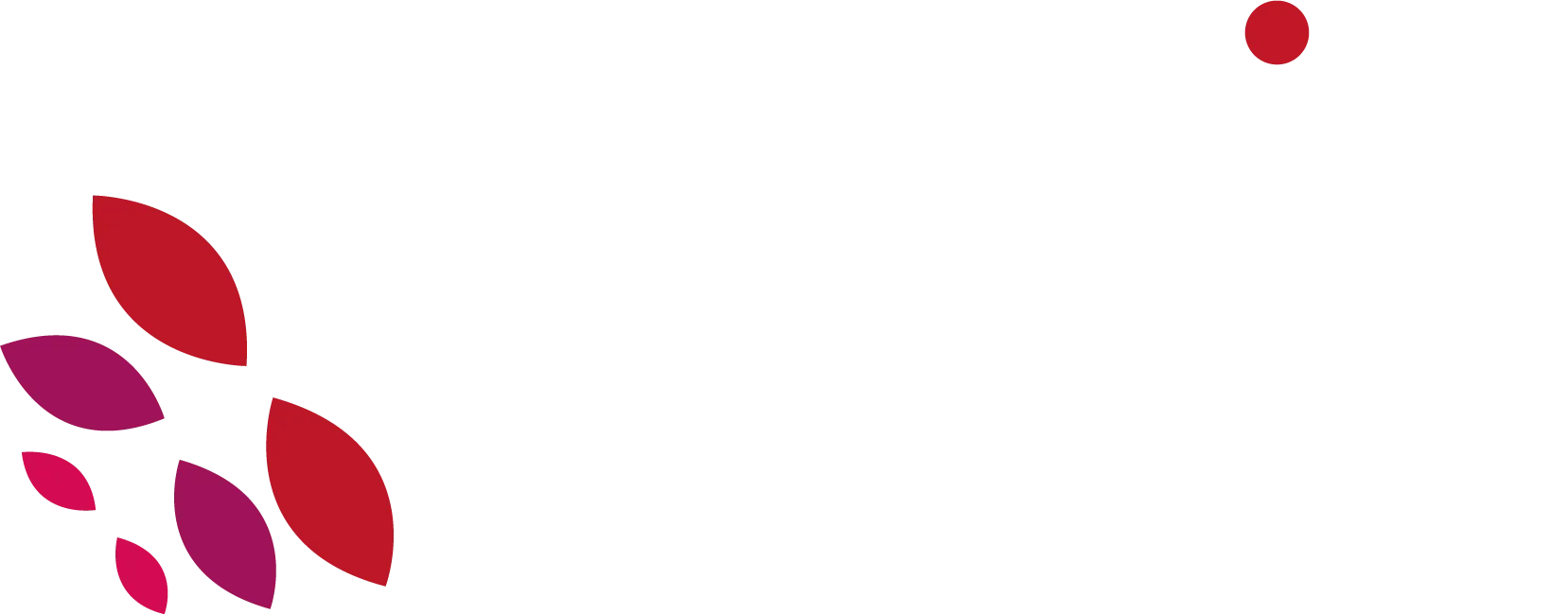DIAG'EXPERTISES (OMETRA BERGERON) logo