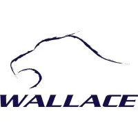 WALLACE GROUP logo