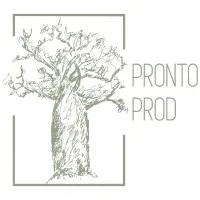 PRONTO PROD (PRONTO PROD) logo