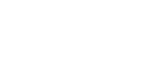 A PINZUTELLA logo