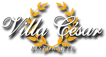 VILLA CESAR logo