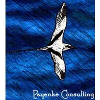 LE PAYENKE logo