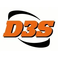 D 3 S logo