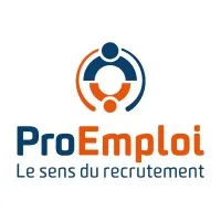 PRO EMPLOI INTERIM (PRO-EMPLOI-INTERIM) logo