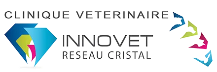 INNOVET logo