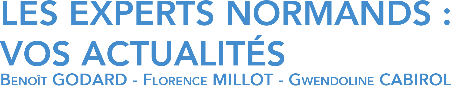 ALLIANCE EXPERTISE ET CONSEIL logo