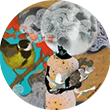 COGITO ERGO SUM logo