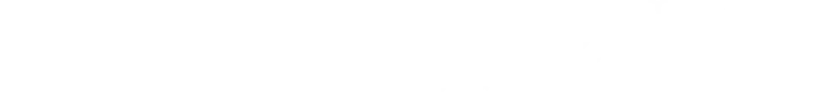 LECONTE EQUITY logo