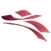 ALEPH ASSOCIATES logo