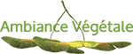 AMBIANCE VEGETALE logo