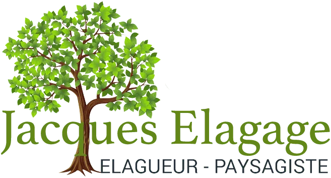 ASMUS JACQUES logo
