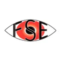 FRANCE SECURITE ELECTRONIQUE (FSE) logo