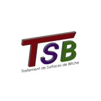 TRAITEMENT SURFACE DE BITCHE logo