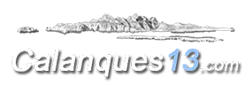 DE JUNNEMANN DAVID (CLIC 13) logo