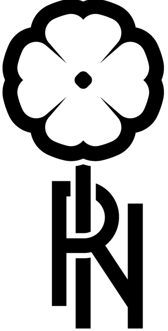 RS ESTHETIQUE (CENTRE AMAINCISSEMENT ET LASER) logo