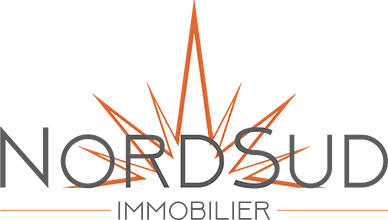 NS IMMO (NORD SUD IMMOBILIER) logo