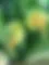 NATURE ET DES COURGETTES logo