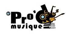 PRO ' D MUSIQUE logo